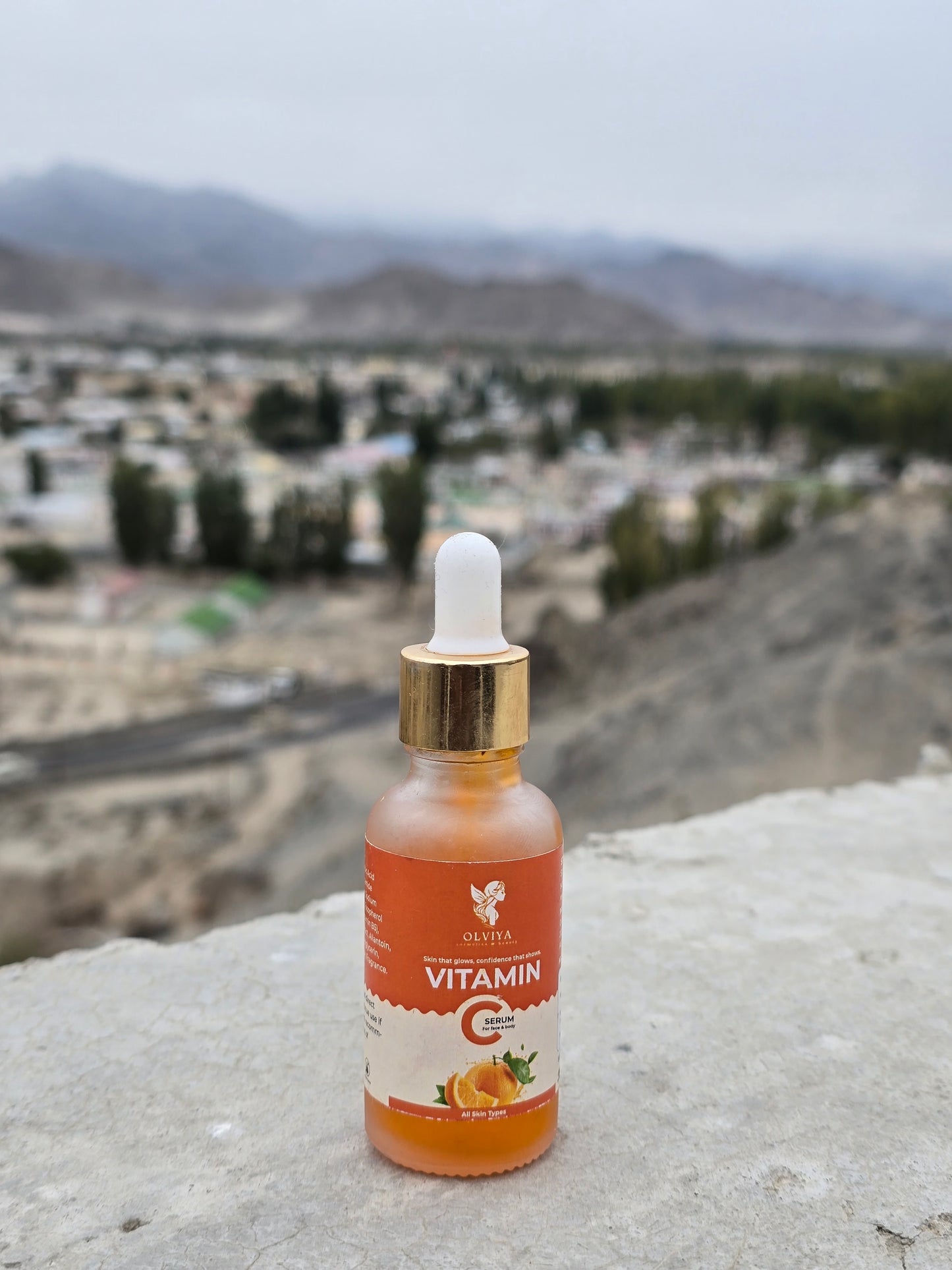 Vitamin C Face Serum – 15% Vitamin C & 5% Niacinamide with Ferulic Acid & Aloe Vera, Brightening & Anti-Aging Serum for All Skin Types (30ml)